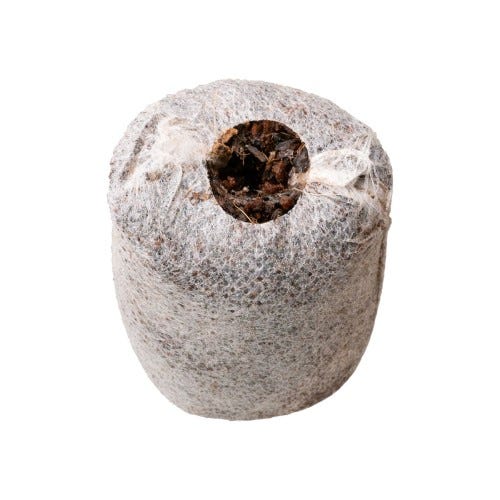 Char Coir Coco Coin