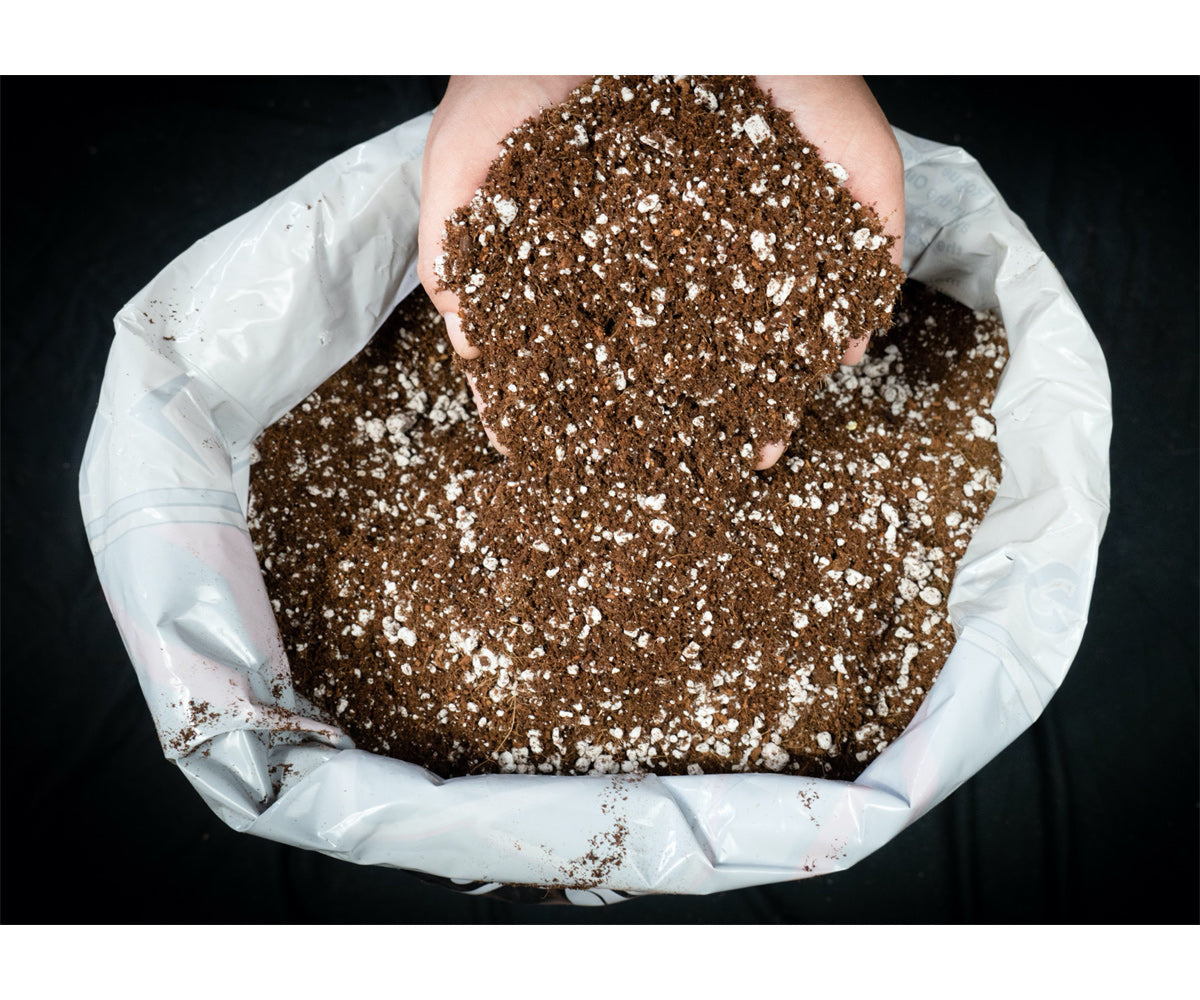 Rogue Soil Hard Coir