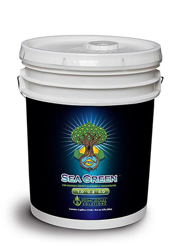 Primordial Solutions Sea Green