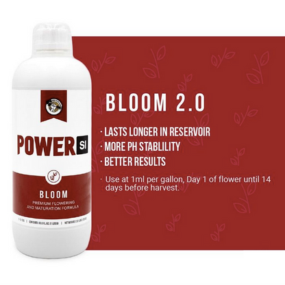 Power SI Bloom