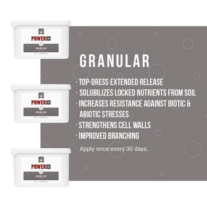 Power SI Granular