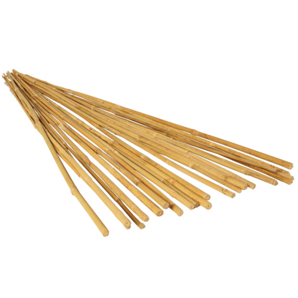 GROW!T Bamboo Stakes