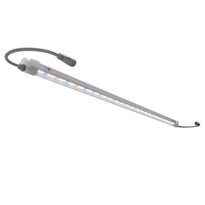 Gavita LED Clone Bar