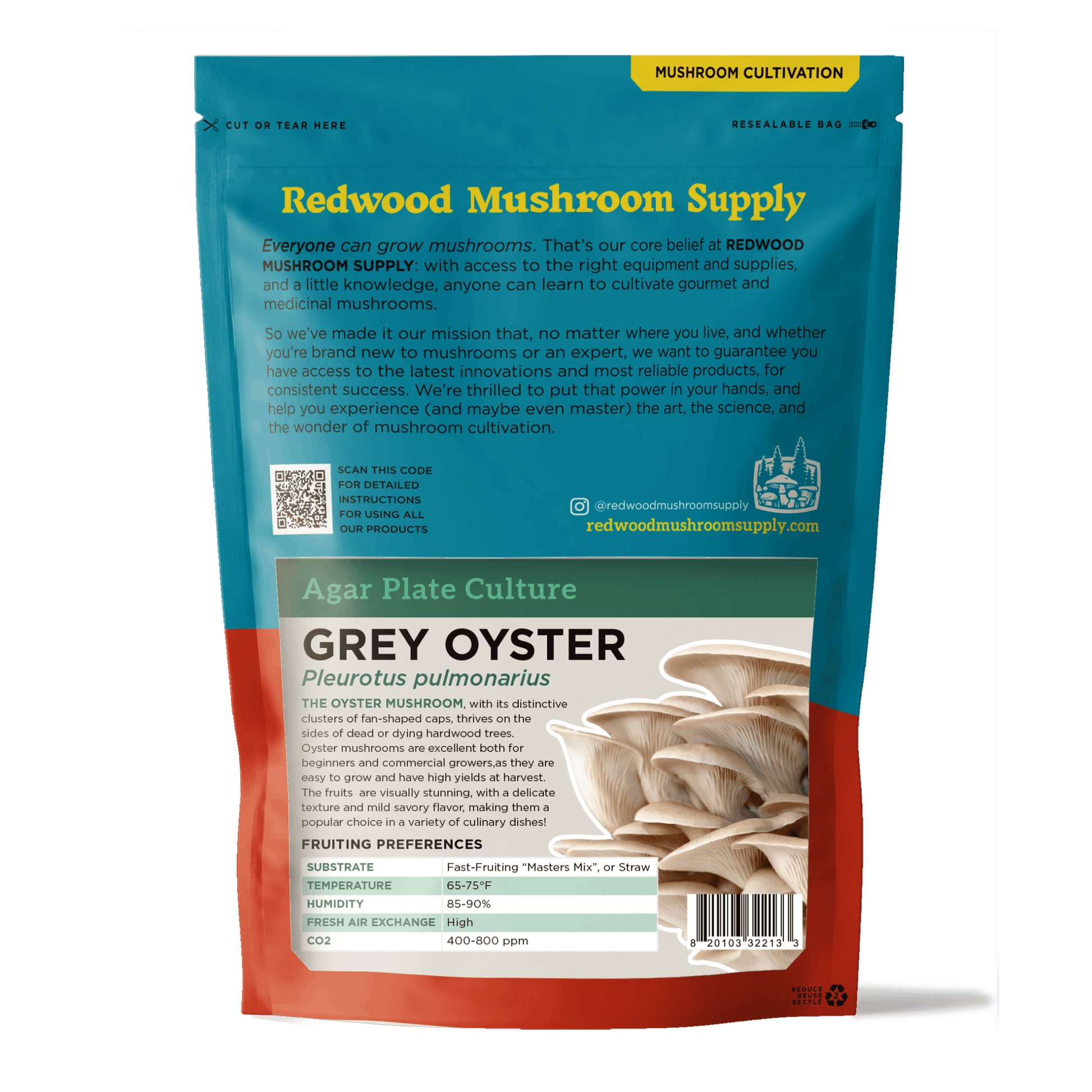 Grey Oyster Mushroom Plate Culture