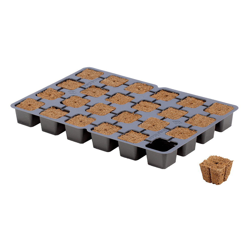 24 count Eazy Plug tray